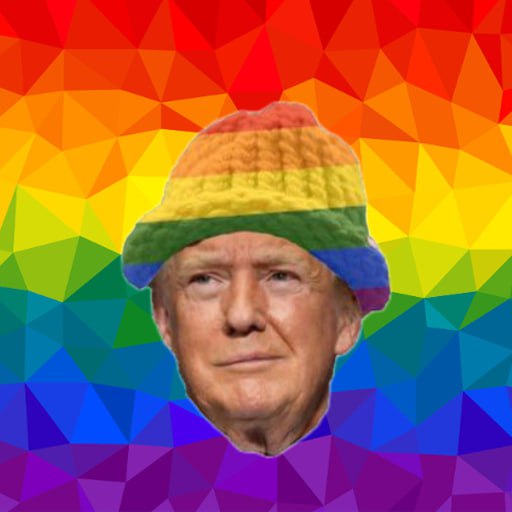 Rainbow Trump Meme