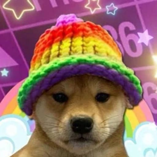 Rainbow Doge Meme