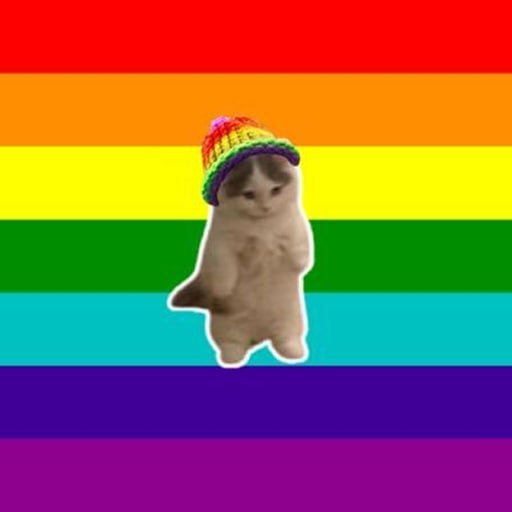 Rainbow Hamster Meme